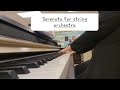 Serenata for strings accompaniment