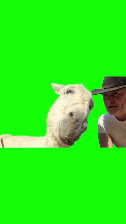 You're Actually a Very Handsome Donkey meme - Green Screen