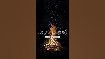 ماهر المعيقلي - سورة آل عمران ( برواية حفص عن عاصم ) الأية 13