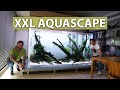 Das XXL Süßwasser-Aquascape!! - New Wave Concepts