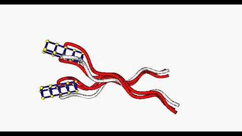 Hydrodynamic interaction between two E. Coli