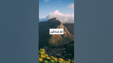 عَمَّ يَتَسَاءَلُونَ❤️#مع_القرآن #راحة_نفسية #حسن_الظن_بالله #اطمئنان #سورة_النبأ