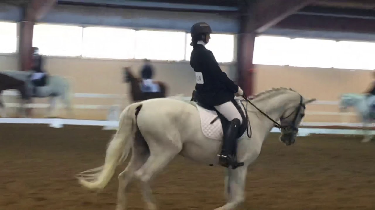 8th Place In Region 1 Dressage Seat Equitation Finals Part 1 YouTube