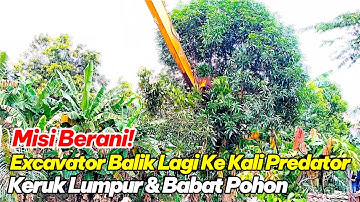 Misi Berani!Excavator Balik Lagi Ke Kali Predator|Keruk Lumpur & Babat Pohon