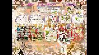 Двудольные растения.AVI Двудольные растения.AVI
