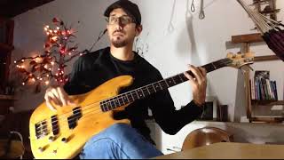 Video thumbnail of ""La que me gusta" - Los Amigos Invisibles(Cover Bass)"