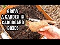 3 EASY DIY Cardboard Grow Box Gardening Containers You Can Make At Home!