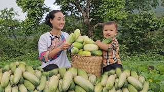 Single mother 17 years old - Harvesting cucumber garden to sell - Grilling wild boar meat to eat-100