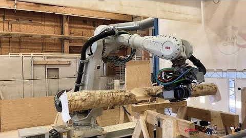 Robotic construction under parametric design of whole timber reciprocal structures