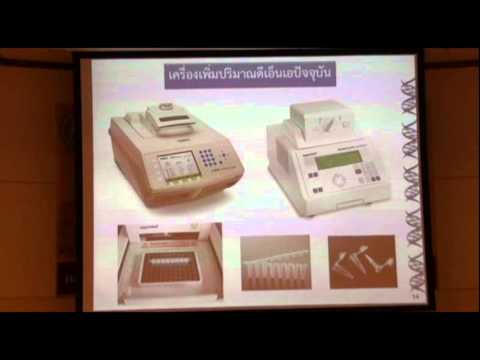 7  หลักการพื้นฐานของปฏิกิริยาลูกโซ่พอลิเมอเรส Polymerase Chain Reaction PCR   ผศ ดร ปรีย์กมล กลั่นฤท