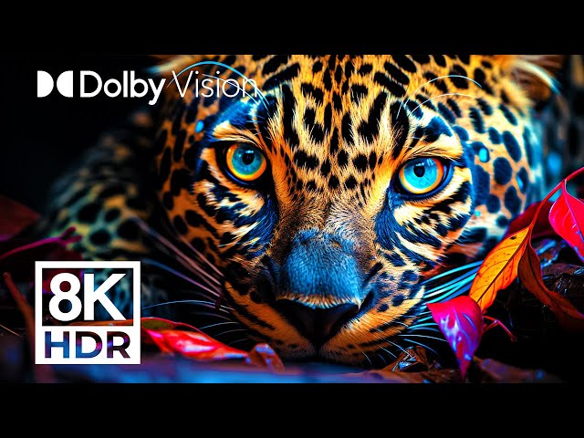 WILDEST ANIMALS DOLBY VISION™ | 8K HDR (COLORFUL INTENSITY) class=