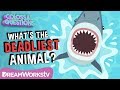 Deadliest Creatures on Earth Quiz