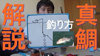 【解説】手漕ぎボート釣りで大きなマダイを釣る方法！～初心者でもチャンスあります！！～