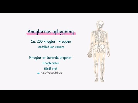 Video: Forskellen Mellem Osteoblaster Og Osteocytter