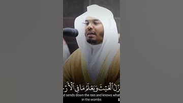 تلاوة الشيخ #ياسر_الدوسري من سورة [الأحقاف]🎙🤍 #quran #قران #makkah #مكة #islam #muslim #fyp