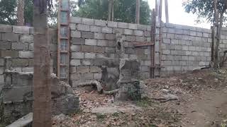Perimeter fence after 2 weeks, 1,000 square meter lot area