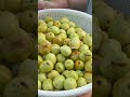 Jujubes Jujubes