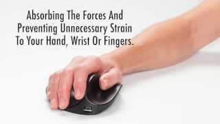 Does Your Mouse Properly Support Your Palm 