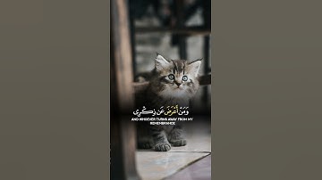 #ايات_قرانيه_قصيره #قران_كريم #تلاوات #تلاوة_خاشعة #اكسبلور #اكسبلور_explore