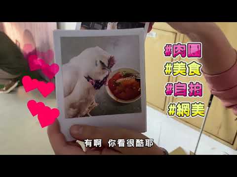 【食尚GG日記#2】豪華別墅入厝！GG網美照曝光！