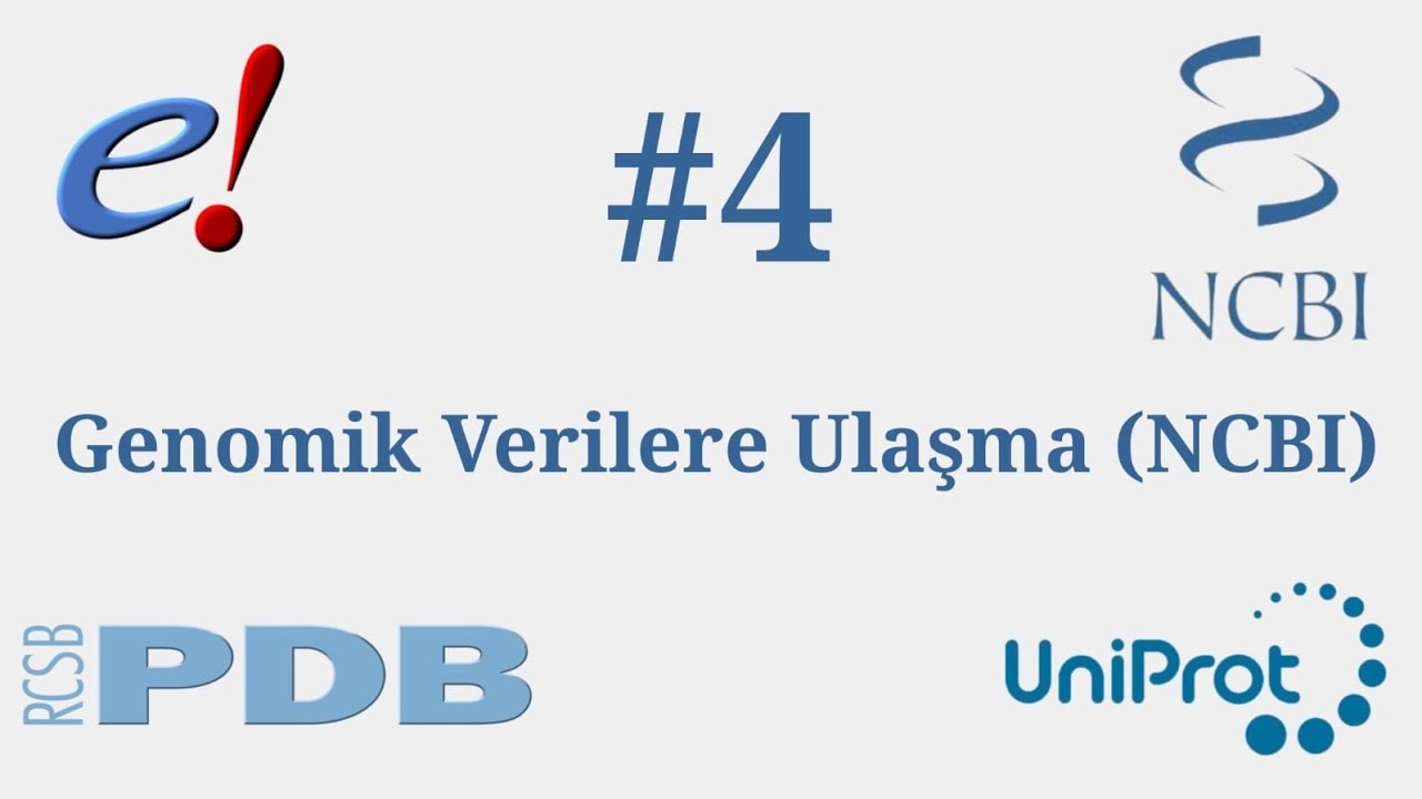 Biyolojik Veritabanları | #4 | NCBI | Genomik Verilere Ulaşma