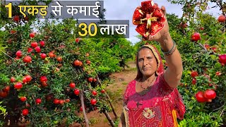 साधारण सी दिखने वाली ये महिला एक एकड़ से कमाती हैं 30 लाख | Pomegranate Farming anar ki kheti