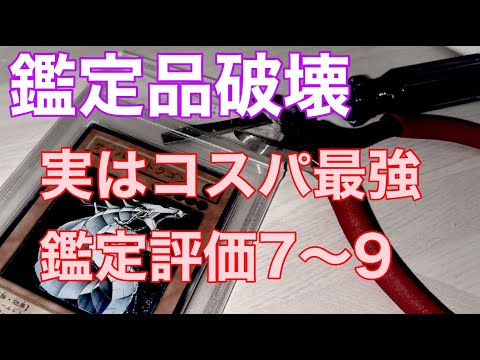 R*様 遊戯王OCG 引退品 まとめ売り PSA鑑定品 遊戯王カード 25th まとめ 売り引退品 セット クオシク 青眼の白