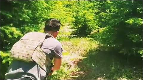 APTUM and ARMIS carries - Beez Combat Systems