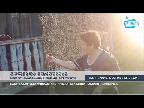 \"გააზიარე შენი სოფლის რეალური ამბები\" -   ნაგომარში ოჯახი ავარიულ სახლში ცხოვრობს