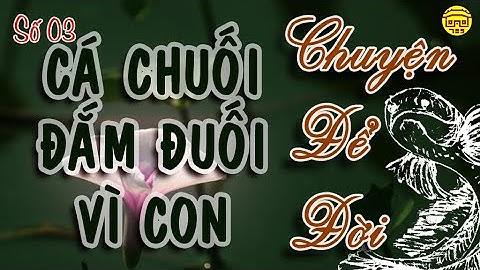 Cá chuối đắm đuối về con