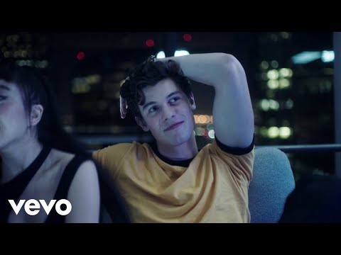 Shawn Mendes, Zedd - Lost In Japan