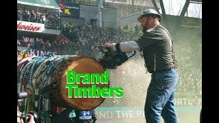 Timbers Brand Keeps Growing