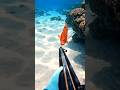 Almost Caught It 😱 Big Eye Fish Escaped (POV 8K Real)
