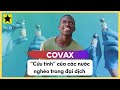 COVAX - “Vị Cứu Tinh” Của Các Nước Nghèo Trong Đại Dịch Covid 19