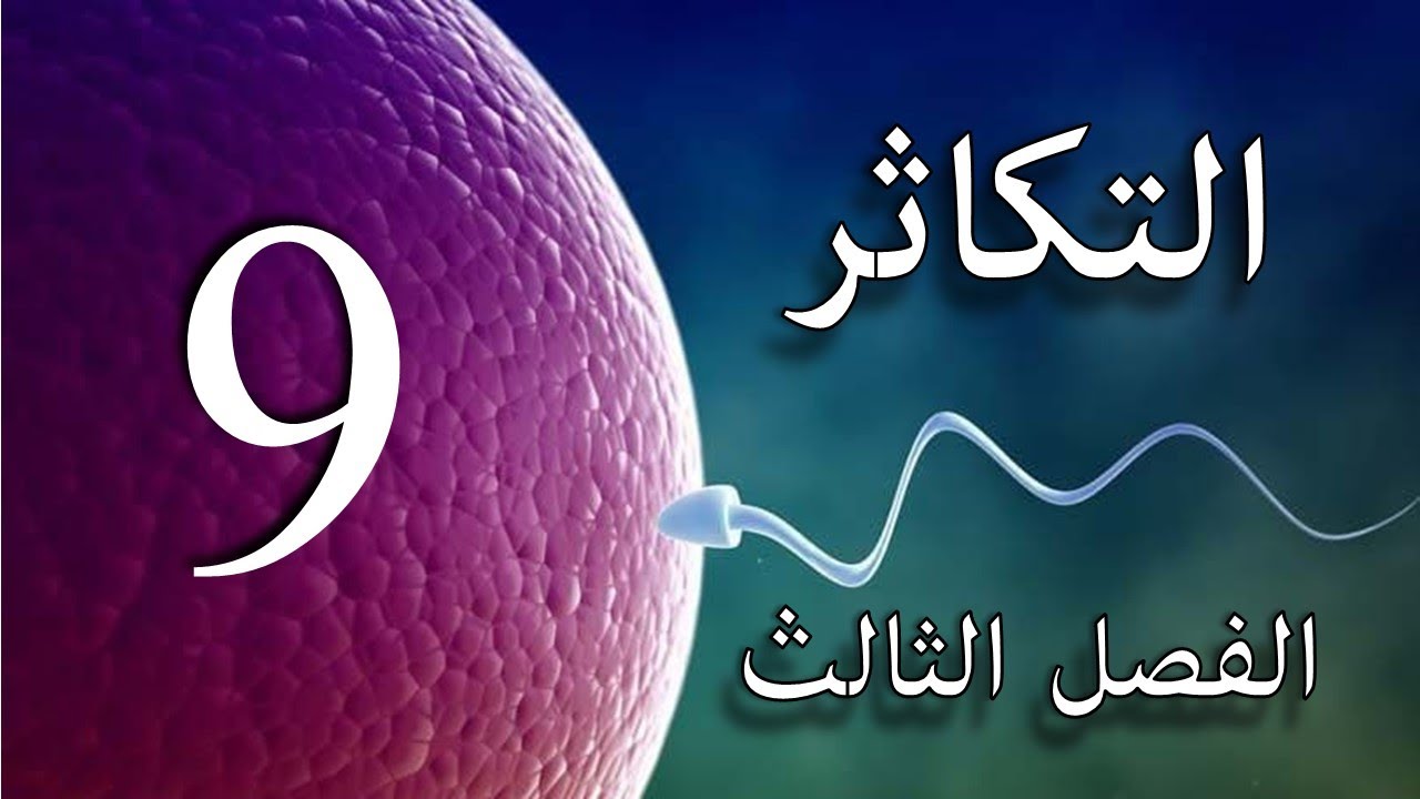 طريقة رسم الانشطار في اليوغلينا للسادس الاعدادي-الفصل الثالث