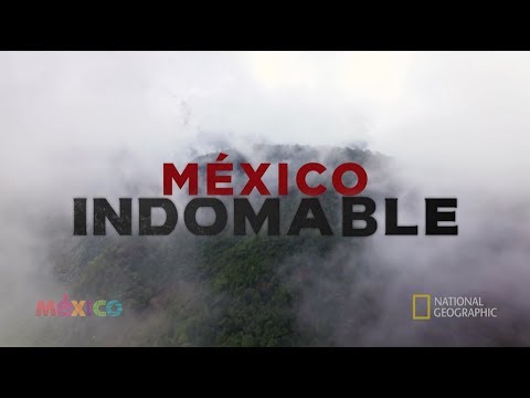 Video: 9 Aventuras inolvidables en México