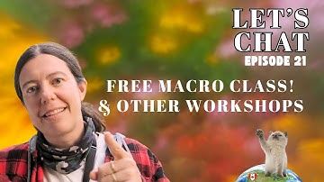 Wednesday recap: Free online class!