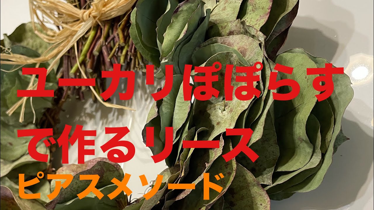 ユーカリぽぽらすで作るリース＃winterリース - YouTube