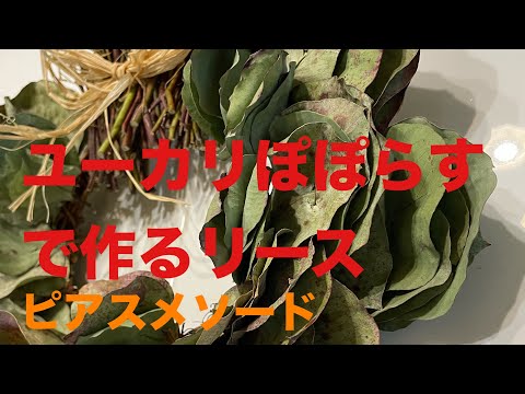 ユーカリぽぽらすで作るリース＃winterリース - YouTube