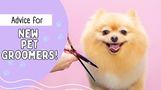 Advice for New Pet Groomers | Pet Grooming Career #petgroomer by Paws and Relax 1,396 views 11 months ago 14 minutes, 1 second