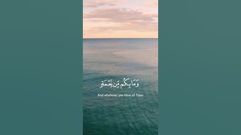 سورة النحل بصوت القارئ عبد الرحمن مسعد أرح سمعك