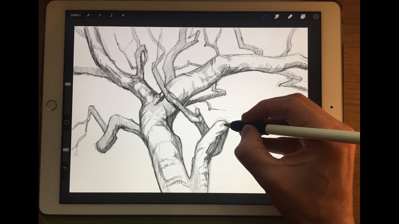 HOW TO DRAW TREE BRANCHES Apple Pencil drawing tutorial 