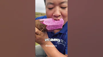 Secret Chinese Food Shorts Science 