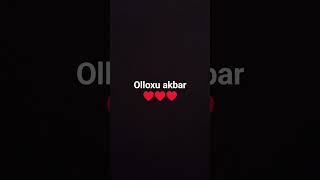 olloxu akbar