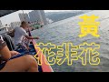 黃花非花 x 青龍頭 【艇釣日誌】香港釣魚