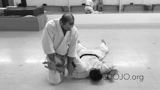 Daito Ryu Aiki Jujitsu Rutherford NJ Sensei Dan Rominski Resimi