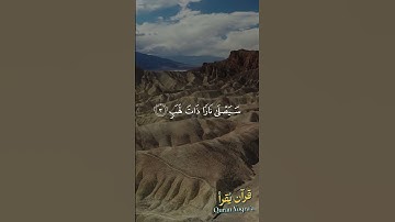 سورة المسد - المنشاوي #القرآن_الكريم #المنشاوي #اكسبلور #راحة_نفسية  #تلاوة_خاشعة #تلاوات #لايك