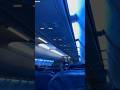 New flight with blue light  beautiful flight shorts beautiful flight aviation