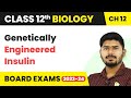 Genetically Engineered Insulin - Biotechnology and Its Applications | Class 12 Biology