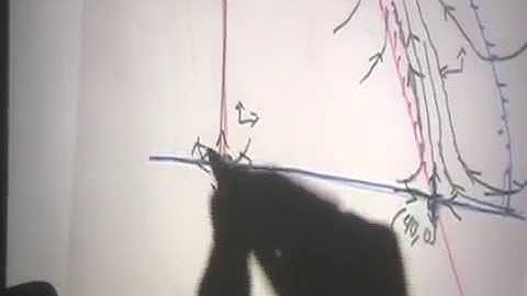 Analysis of Nonlinear Systems, Part 5 (using Mathematica for a Complicated Competing Species Model)